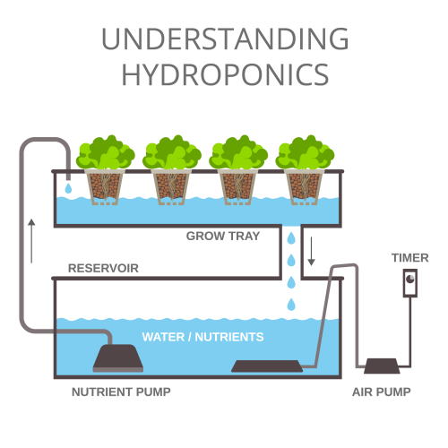 hydroponics-diagram-2174282