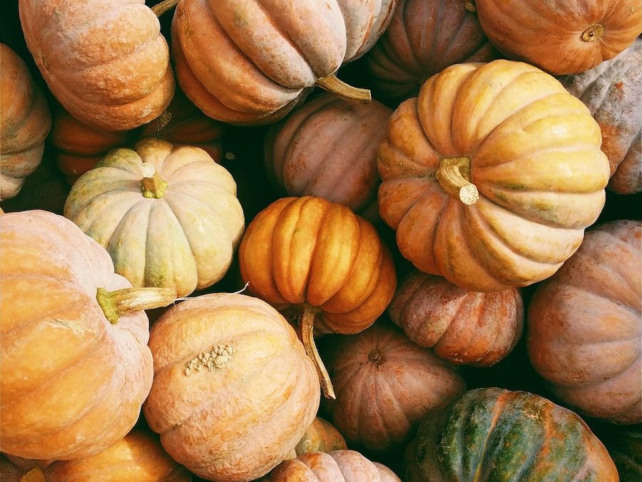 Companion Planting for Pumpkins: Maximizing Space and Pollination
