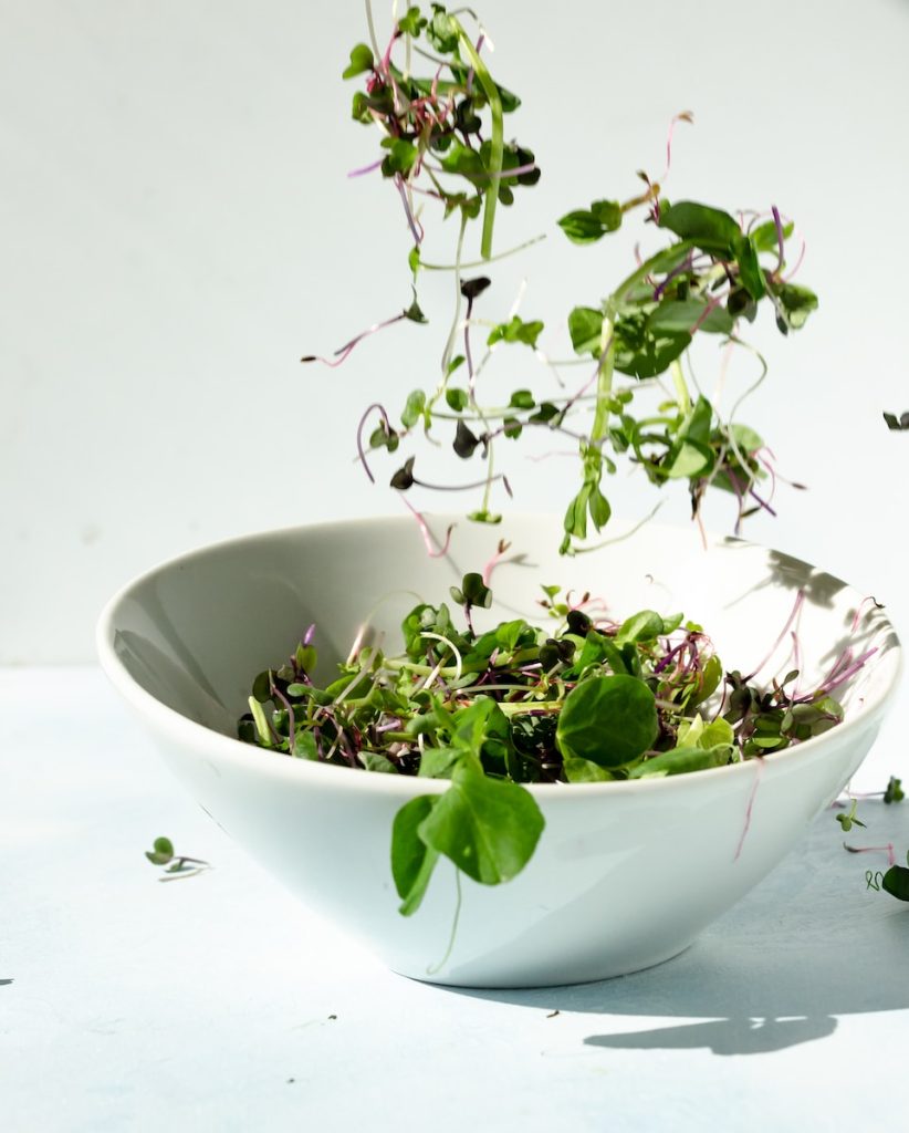 green microgreens on white ceramic bowl
